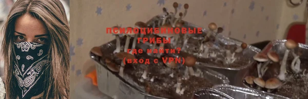 apvp Абаза