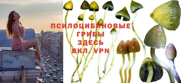 амфетамин Абинск