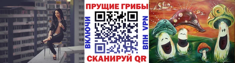 наркошоп  Владикавказ  Псилоцибиновые грибы MAGIC MUSHROOMS 